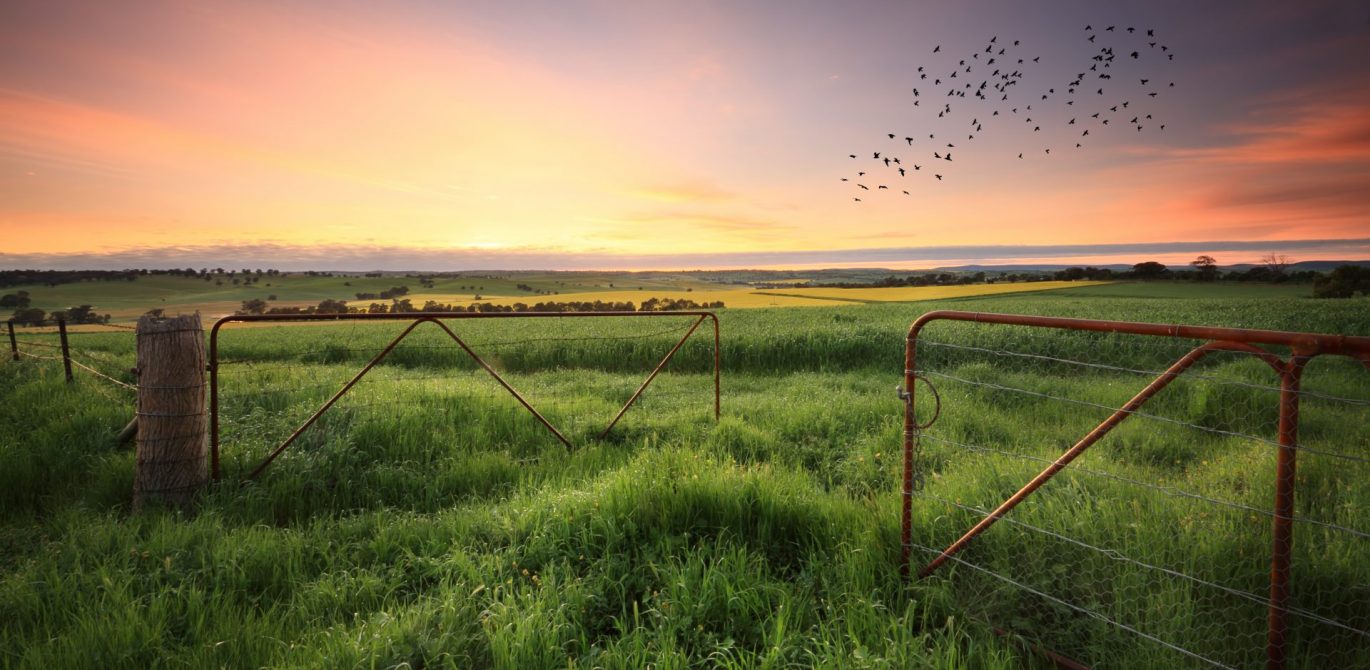 The Real Cost of Selling a House in Queensland